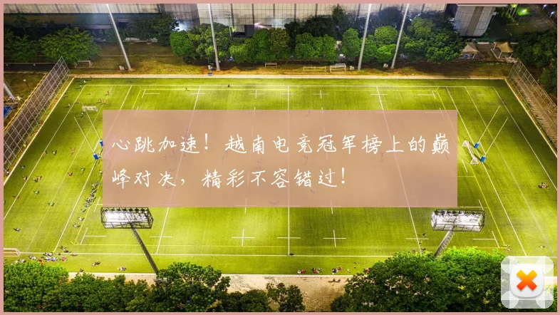 心跳加速！越南电竞冠军榜上的巅峰对决，精彩不容错过！
